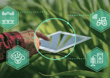 Smart Farms Increase Yields with Technologies