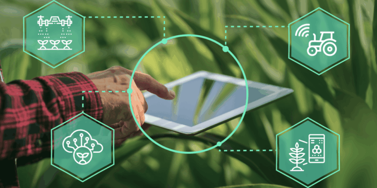 Smart Farms Increase Yields with Technologies